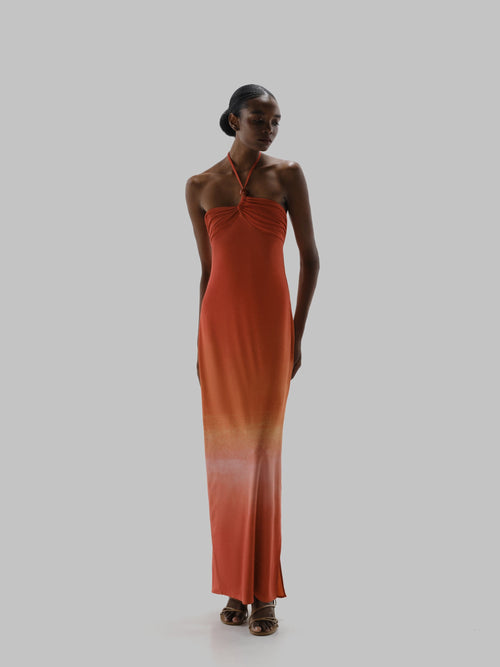 Bari Maxi Dress - Atardecer en Titicaca by Baobab, photo 1 of 7, Leonica