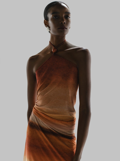 Blake Maxi Dress - Tierra Inca by Baobab, photo 2 of 4, Leonica